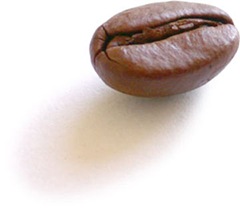 coffee_bean_single